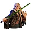 Star Wars Kit Fisto Mini Bust